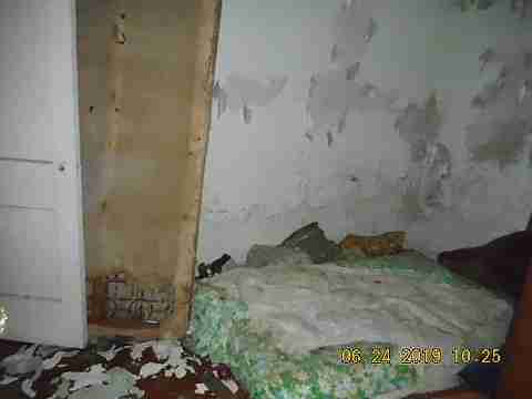 19604 Albion (25)_m.jpg